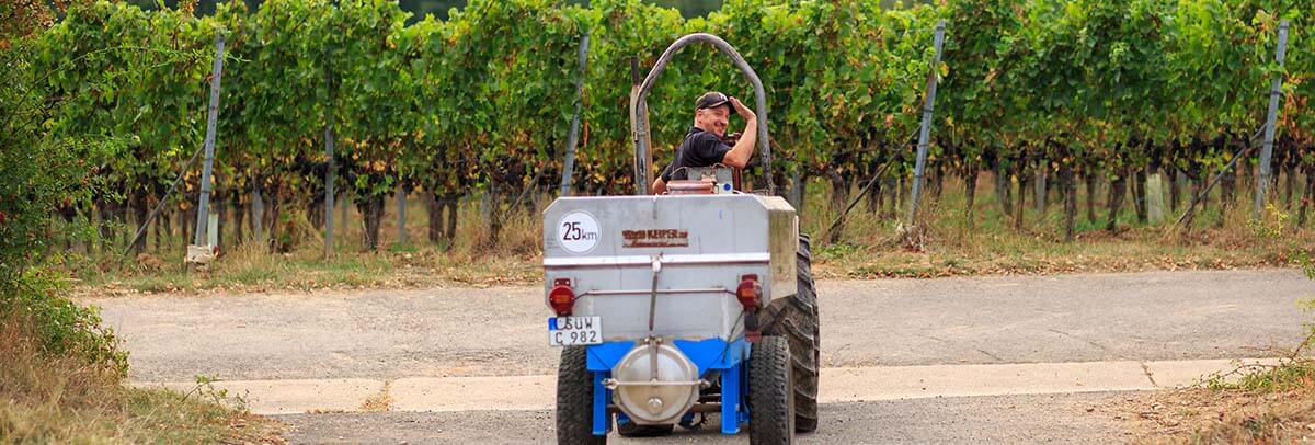 Abmeldung Newsletter Thorsten Ochocki im Weinberg Traktor