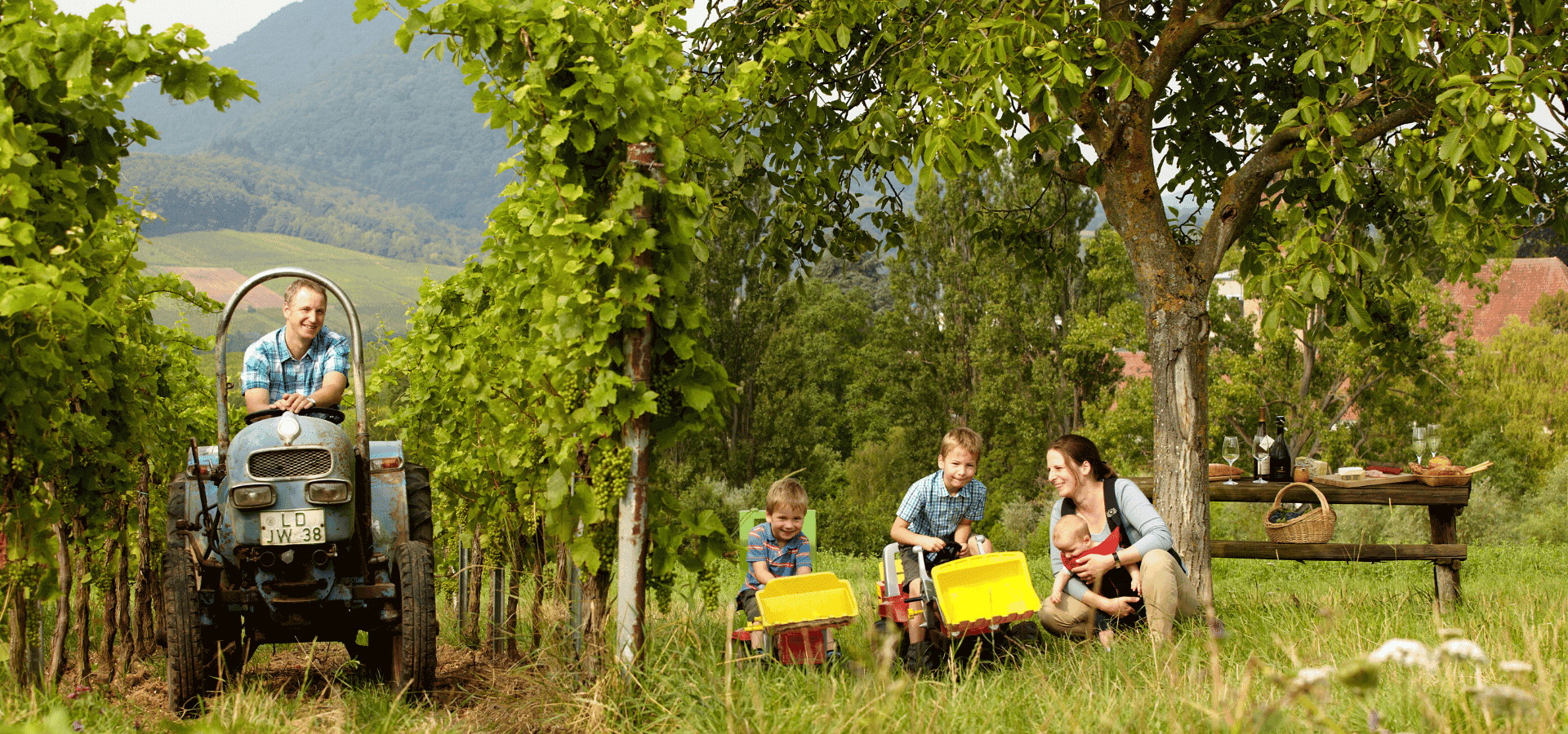 Bio-Weingut-Wilhelmshof-Familie-Roth-Ochocki-Siebeldingen-Pfalz(1)-min